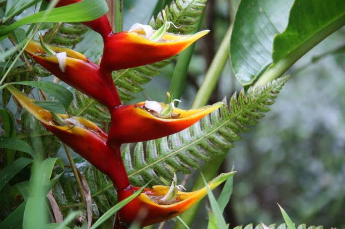 14065738040_9ed5d21451_o