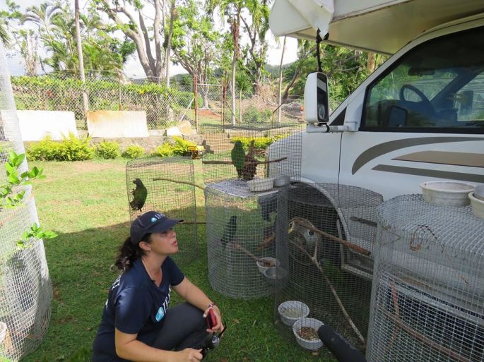 Dr Erika Flores from the IFAW team